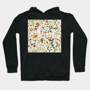 Biology Australia. Hoodie